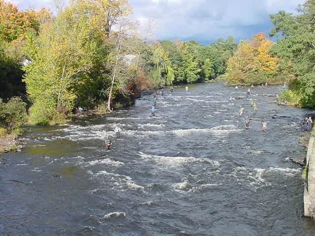 Fall Fishing at the Salmon River