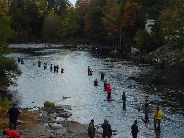 Fishing the Salmon River